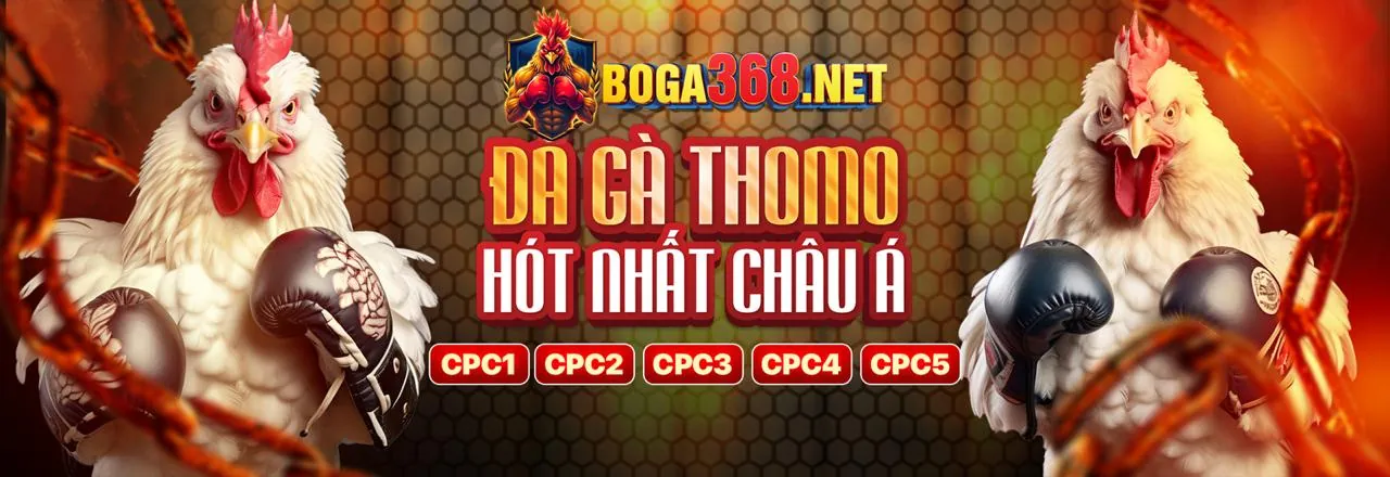 Các trò chơi cá cược nổi bật tại VNBET