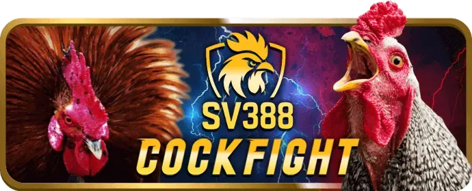 Kèo cược Wala trong đá gà VNBET