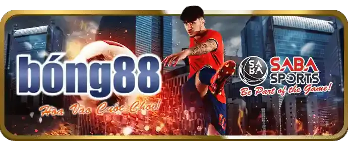 Kèo cược BDD (Hòa) trong đá gà VNBET