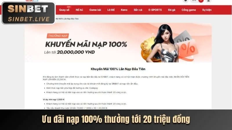 Quy trình đăng ký VNBET